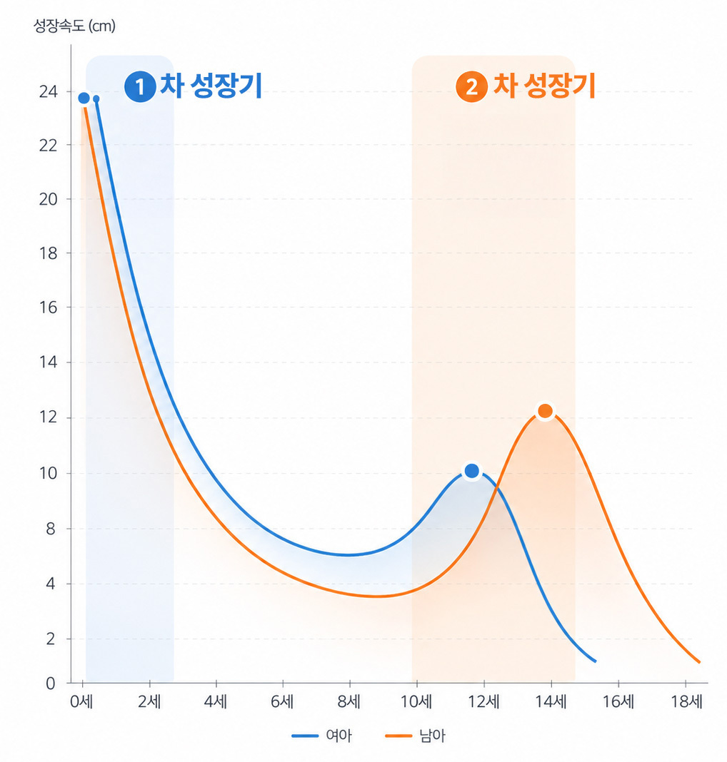 성장속도 그래프